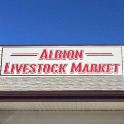 Albion Livestock Market